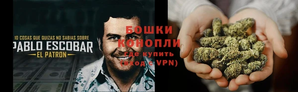 шишки Нефтекумск