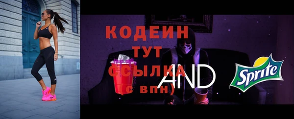гидра Нея