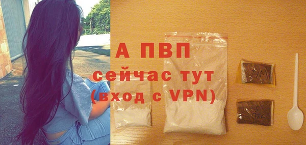гидра Нея