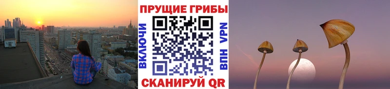 omg ссылка  Белый  Галлюциногенные грибы прущие грибы 